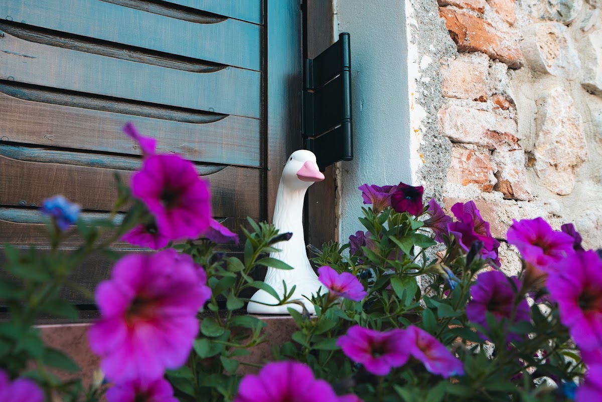 Castle Boutique Hotel