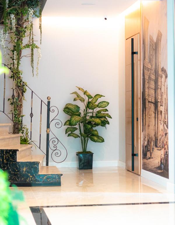 Oxygen Boutique Hotel