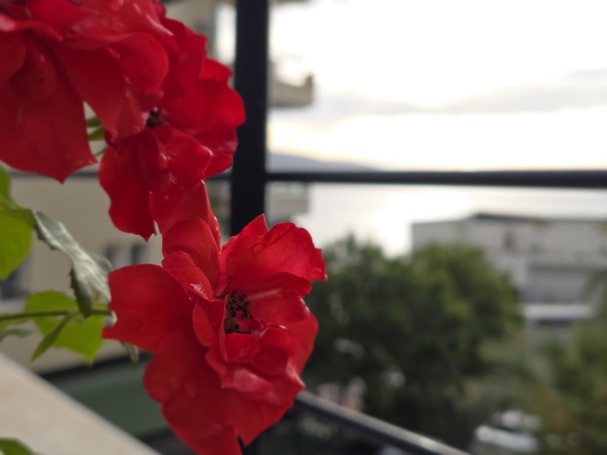 Valza Boutique Hotel