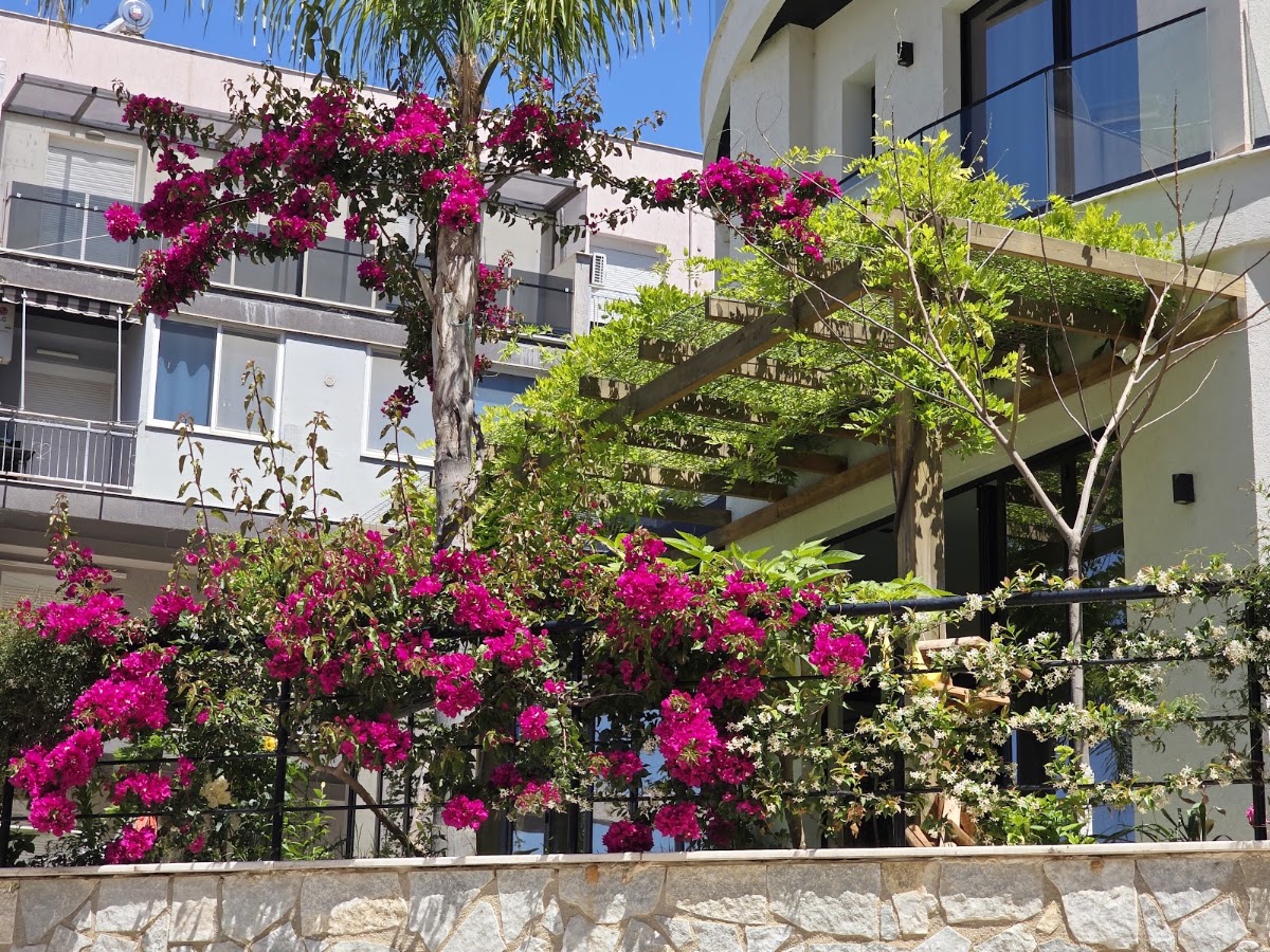 Valza Boutique Hotel