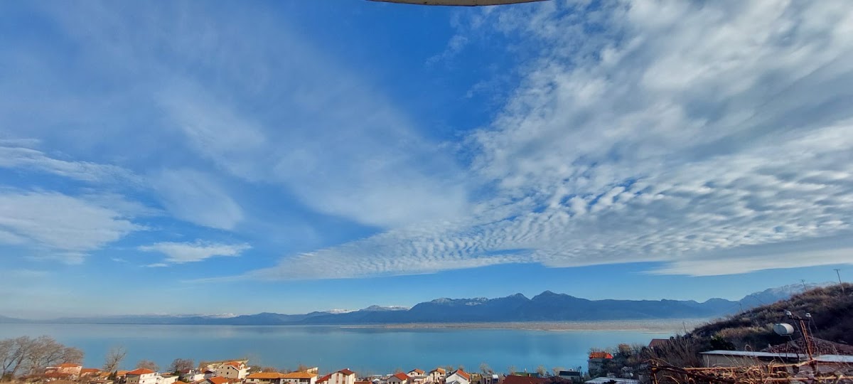 Vila Sela, Shkodër