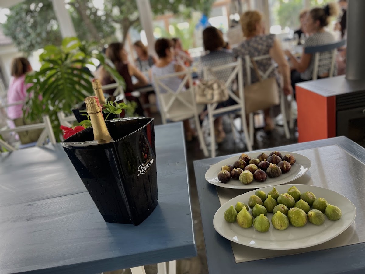 Berat River House boutique hotel