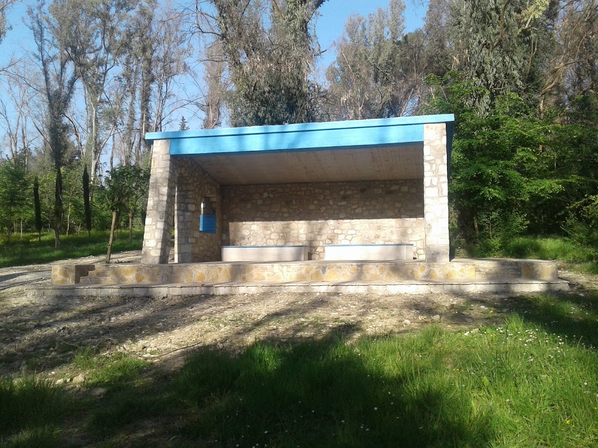 Kodrat e Liqenit