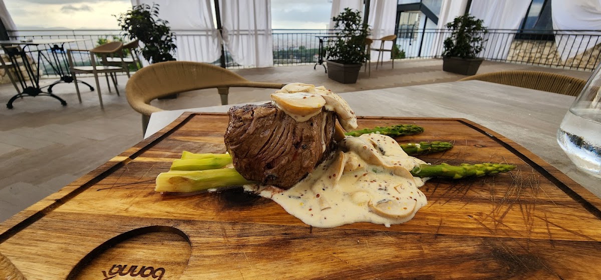 MAJA Restaurant