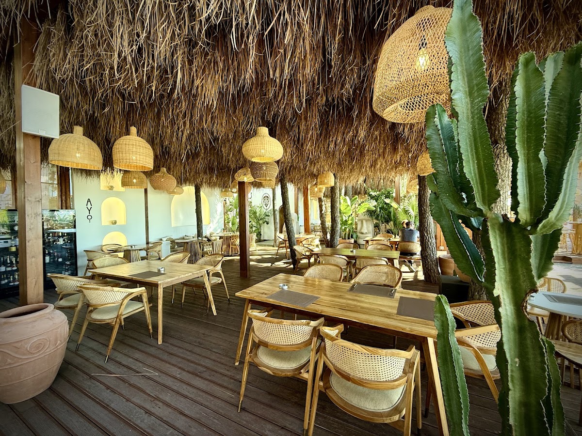 AYO Beach House Restaurant