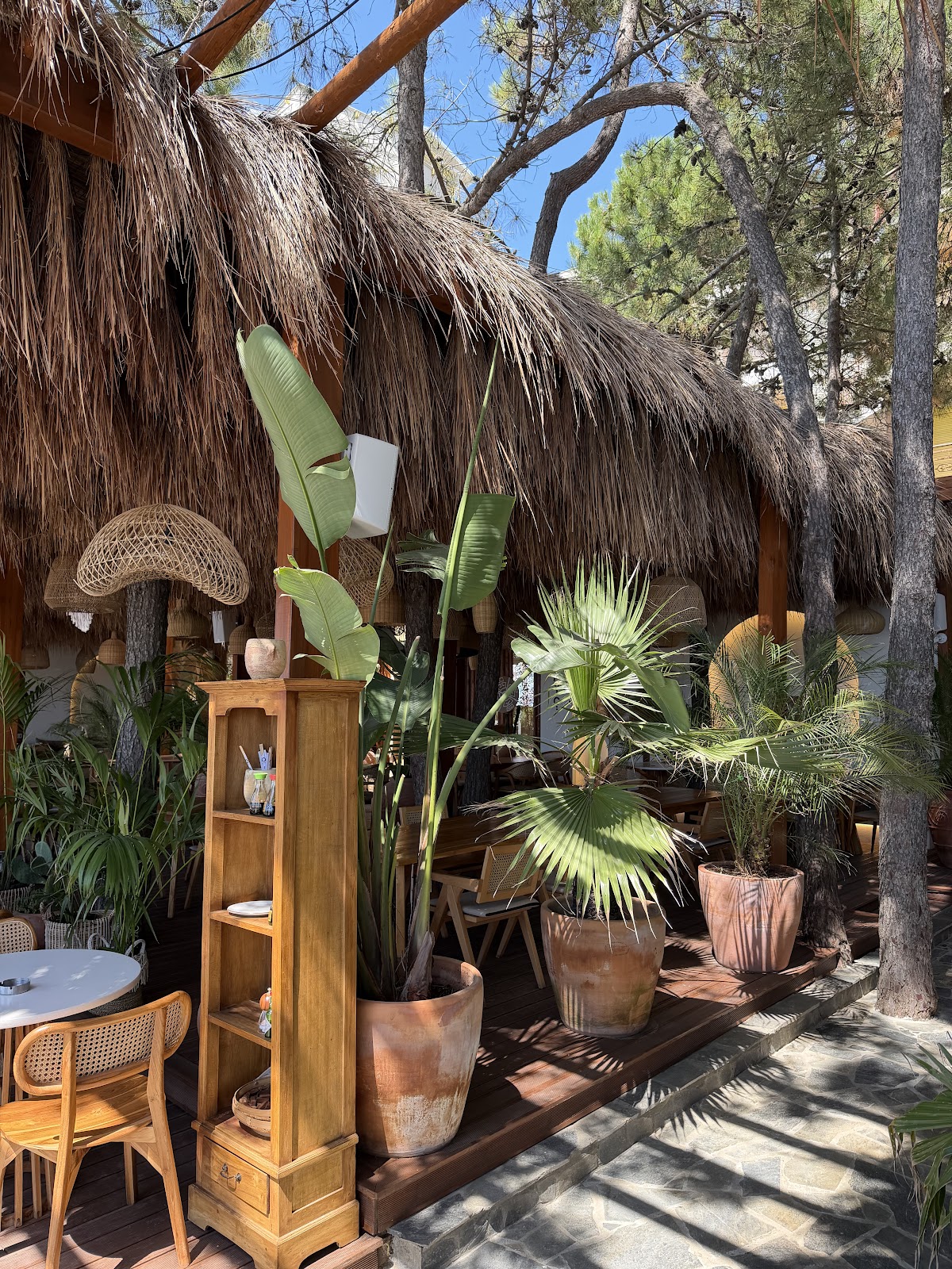 AYO Beach House Restaurant