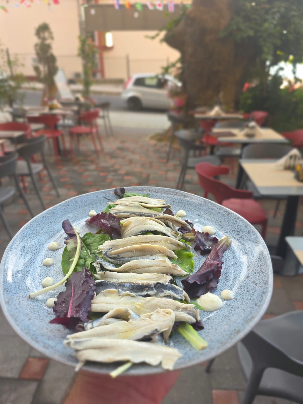 Trattoria Terra e Mare