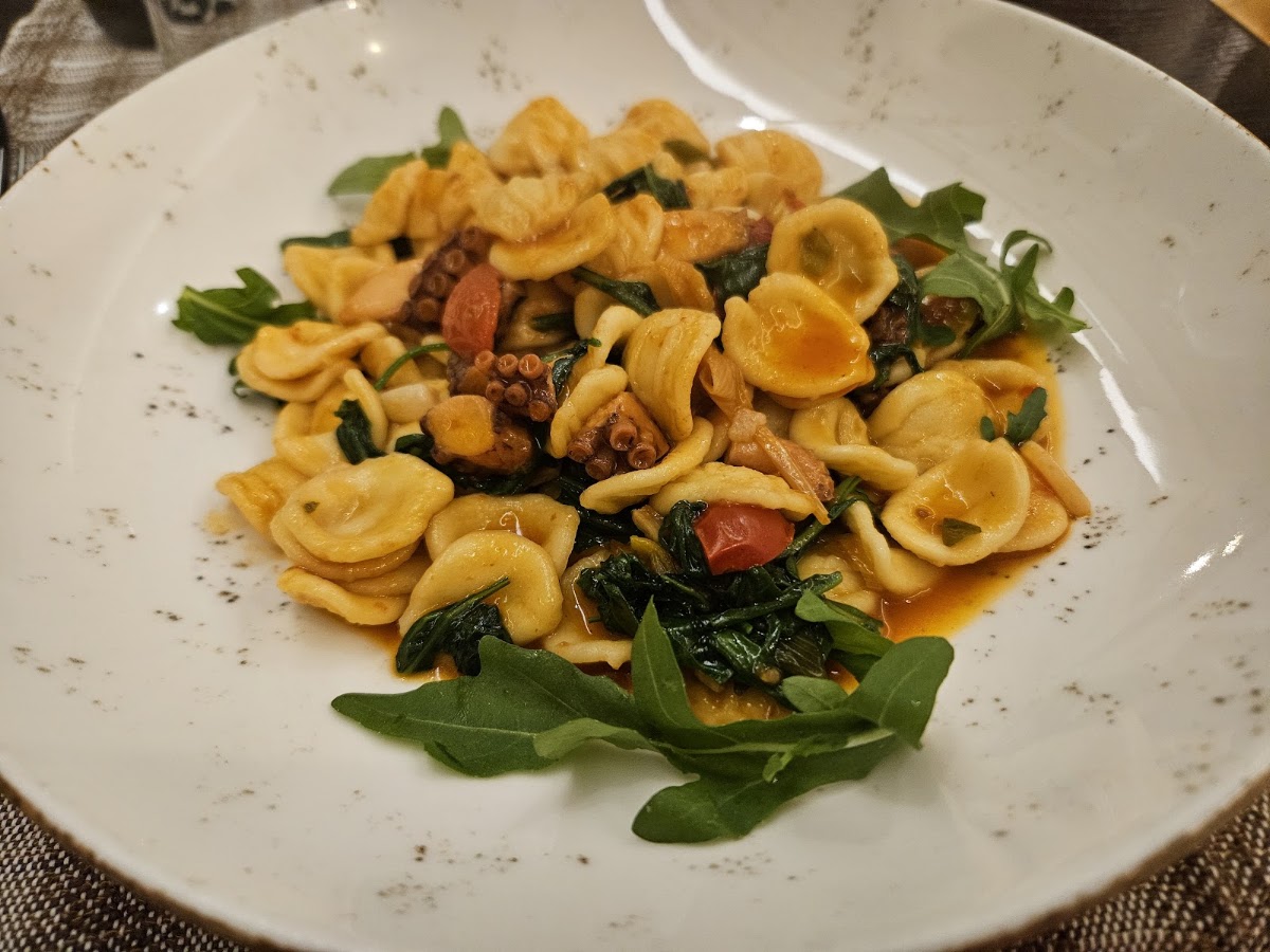 Pasta te Zenga - Restaurant in Shkodër