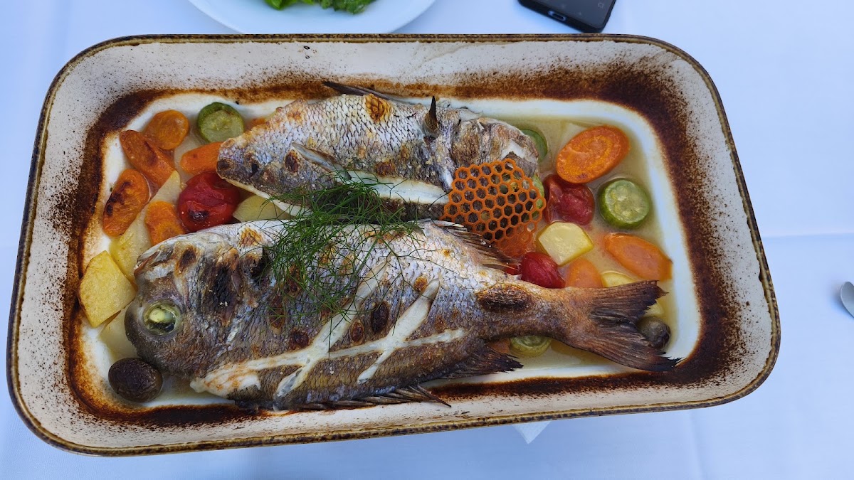 Bar Restaurant Shqiponja