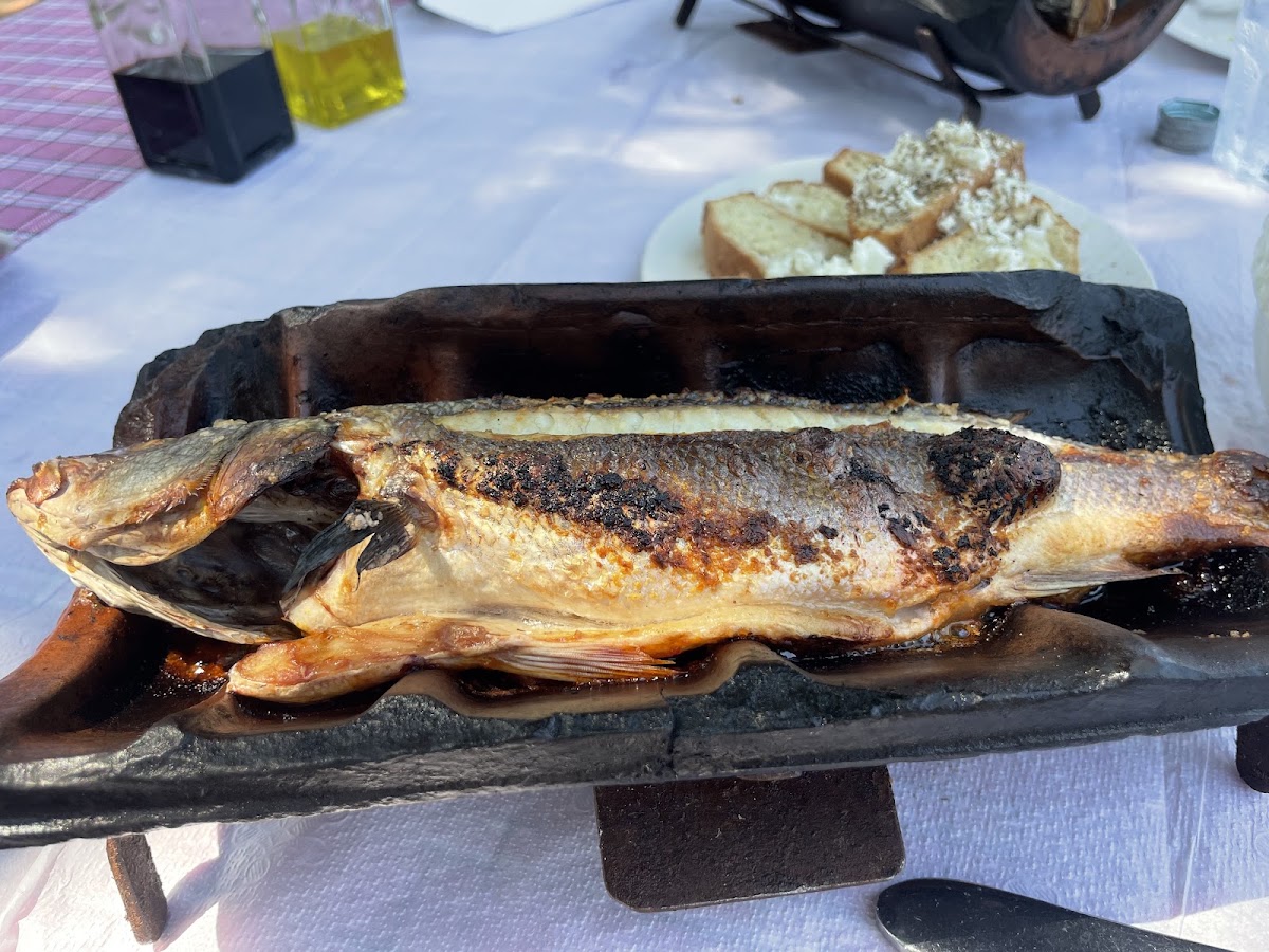 Taverna Shkodrane