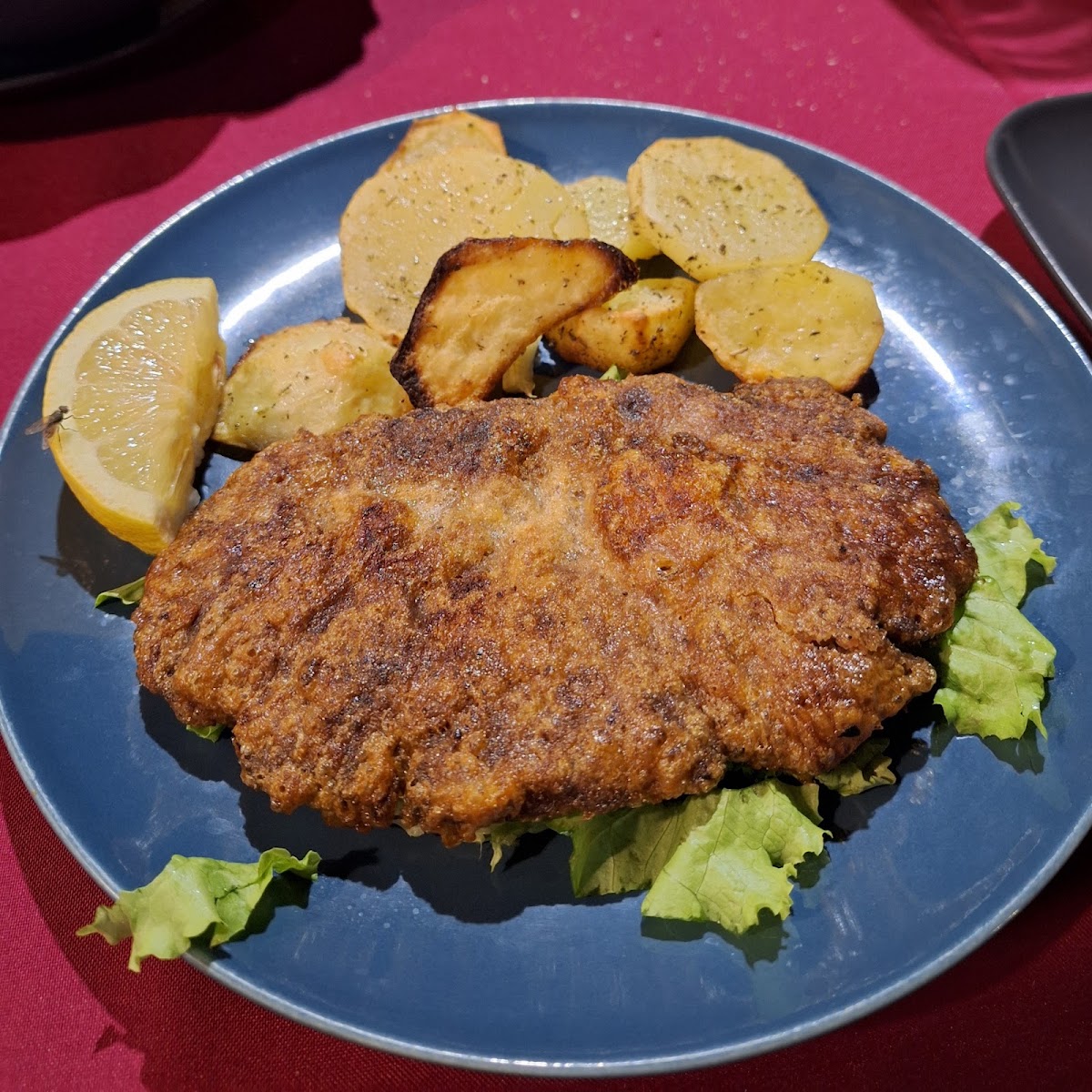 Zonja Gjene